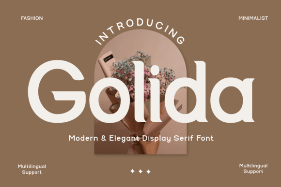 Golida – The Elegant Display Font for Digital Branding