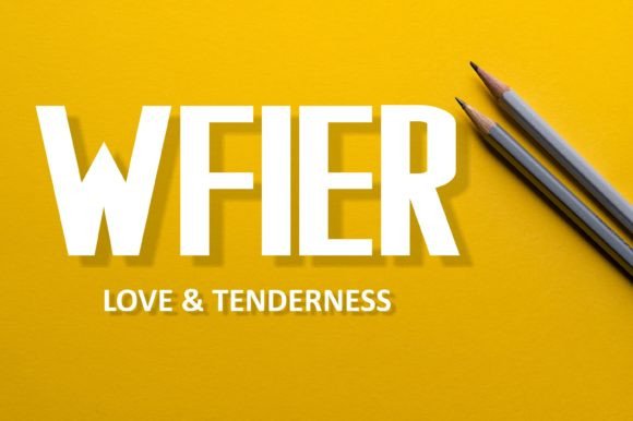 Wfier Font: A Fun Display Typeface for Digital Branding